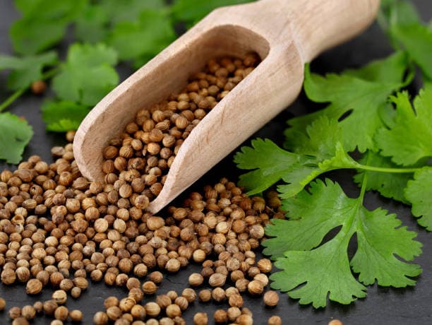 خرید و فروش تخم گشنیز ترد با شرایط فوق العاده